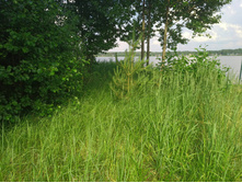 20220709 �� �������� 152642.jpg