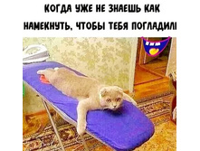 IMG 20220711 055402.jpg