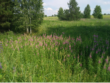 20220709 �� �������� 133634.jpg