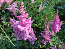 ���� ���� �����