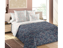 �������� 1 ������� 220 �� ������+���������