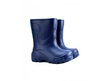 ������ ��� � �����������