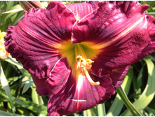 ��������� ���� ������