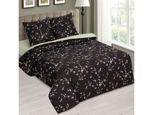 ������ ���� 220 �� ������+���������