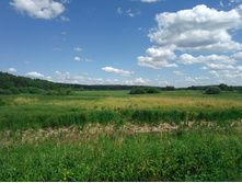 20220716 ������-300 ���������� ���� 115938.jpg