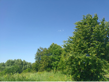 20220702 �� �������� ������ ��� 095555.jpg