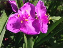 ������������ ��������