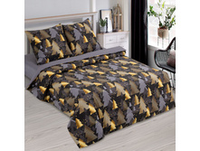 ������ ������ 220 �� ������+���������