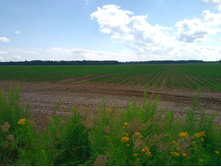 20220717 5+1 ������� 140822.jpg