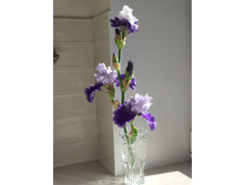 IMG 20220629 075928.jpg