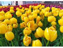 IMG 20220529 191316.jpg