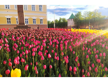 IMG 20220529 191131�.jpg