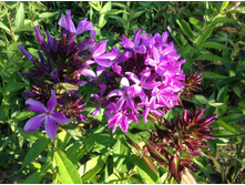 �������� ������