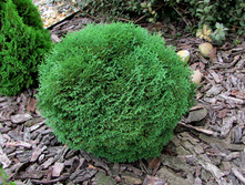 ��� �������� ����� ���.jpg