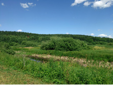 20220716 ������-300 ���������� ���� 115946.jpg