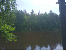 20220709 �� �������� 114411.jpg