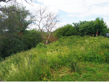 20220703 � ������� 134608.jpg