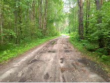 20220709 �� �������� 160546.jpg