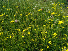 20220702 �� �������� ������ ��� 095649.jpg