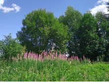 20220716 ������-300 ���������� ���� 120637.jpg