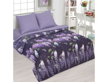 �������� ������ 220 �� ������+���������