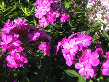 �. �������