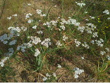 20220709 �� �������� 152805.jpg