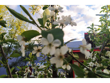 IMG 20220521 185439.jpg