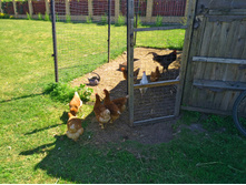 20220702 �� �������� ������ ��� 131819.jpg