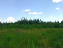 20220717 5+1 ������� 141455.jpg