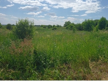 20220702 �� �������� ������ ��� 123156.jpg