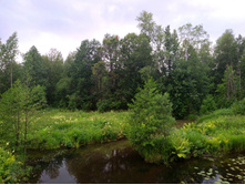 20220709 �� �������� 165442.jpg