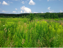 20220724 ������-������ 121855.jpg