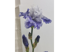 IMG 20220628 225638.jpg