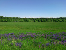 20220625 ������-600 �������� �������� 095825.jpg