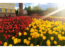 IMG 20220529 191144�.jpg