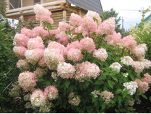 ��������� ������.jpg