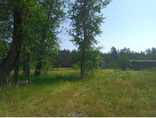 20220723 ��-�������-�� �����������-�������-�� 085718.jpg