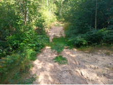 20220814 ������� ���������� ������� 141521.jpg