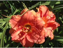 �������