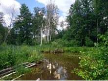 20220723 ��-�������-�� �����������-�������-�� 112855.jpg