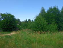 20220723 ��-�������-�� �����������-�������-�� 143452.jpg