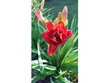 7� �������� �������� �������� �������.jpg