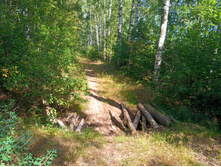 20220814 ������� ���������� ������� 141317.jpg