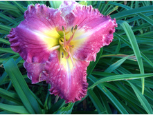 ����  ����