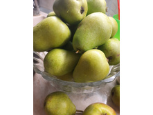 ����� ������� ������� � ������ 50 � ��