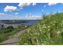 IMG 20220730 145402.jpg