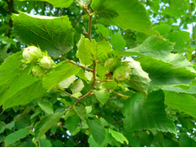 20220723 ��-�������-�� �����������-�������-�� 143549.jpg