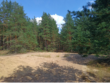 20220814 ������� ���������� ������� 134444.jpg