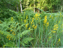 20220723 ��-�������-�� �����������-�������-�� 172206.jpg